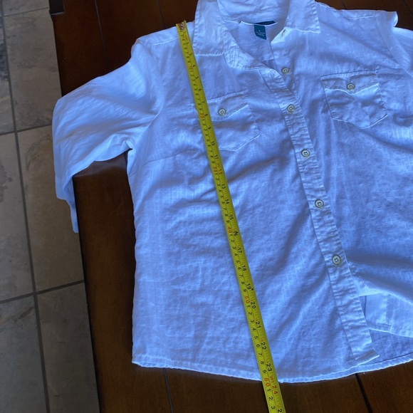 KAREN SCOTT PETITES 100% Semi-Sheer Cotton 3/4 Sleeve Button Down Shirt Large(P) - Picture 6 of 10